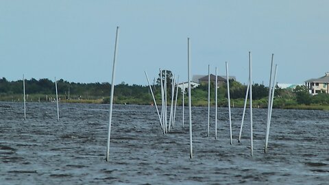 Do these white poles mark fishing spots or dangerous hazards? | Louisiana Inshore Fishing Tips