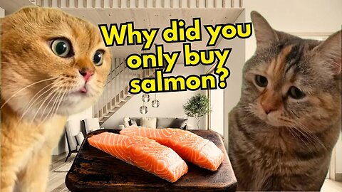 When a Cat Likes Snacks too Much (Ep.39)