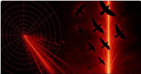 Not Birds: What’s Really Lighting Up the Radar - Alaska Sky Watcher