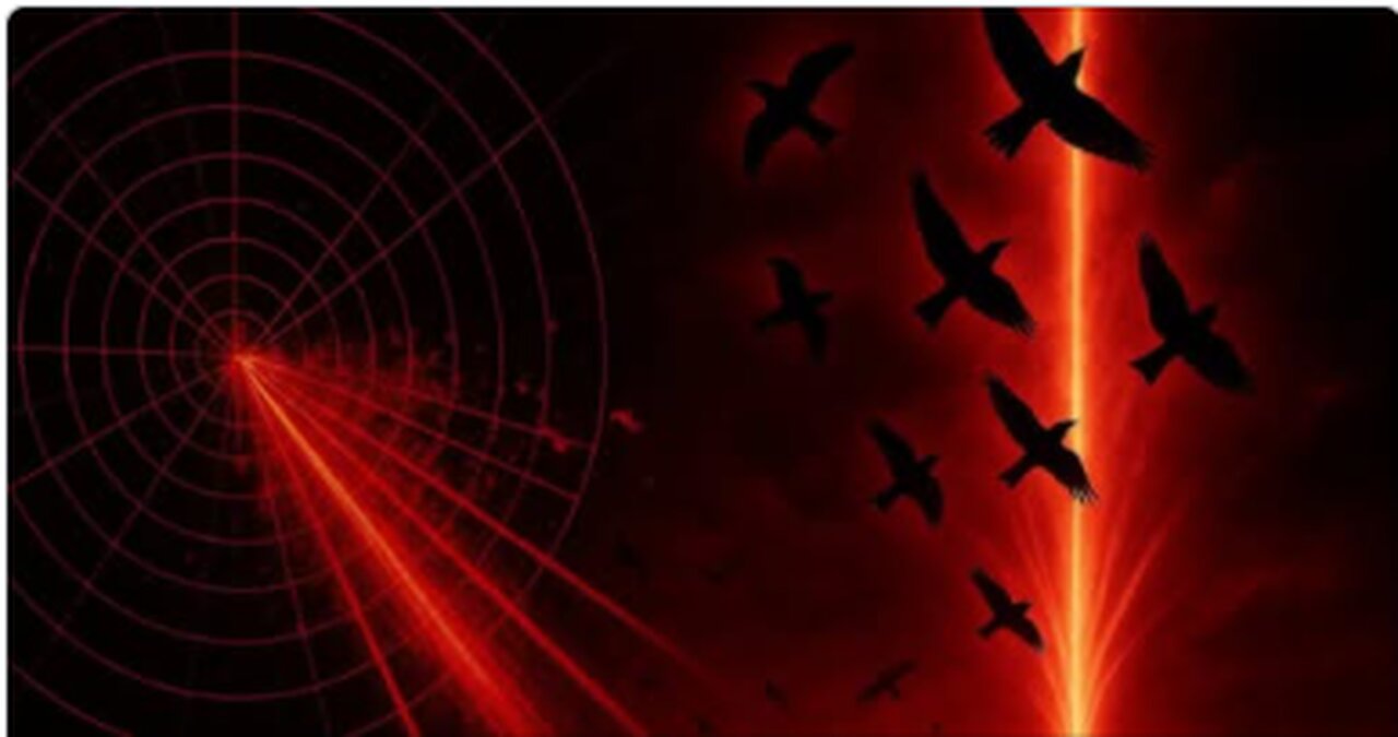 Not Birds: What’s Really Lighting Up the Radar - Alaska Sky Watcher