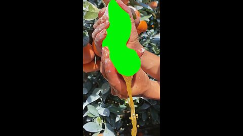 Juicy Orange | Green Screen