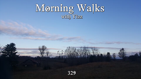 Morning Walks with Yizz 329