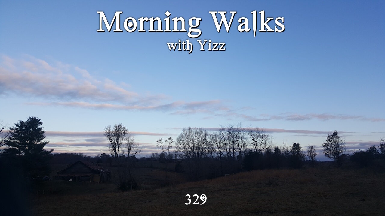 Morning Walks with Yizz 329