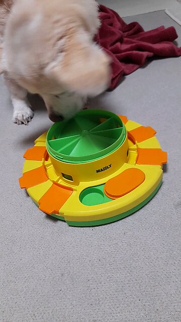 20251231. God made the world.