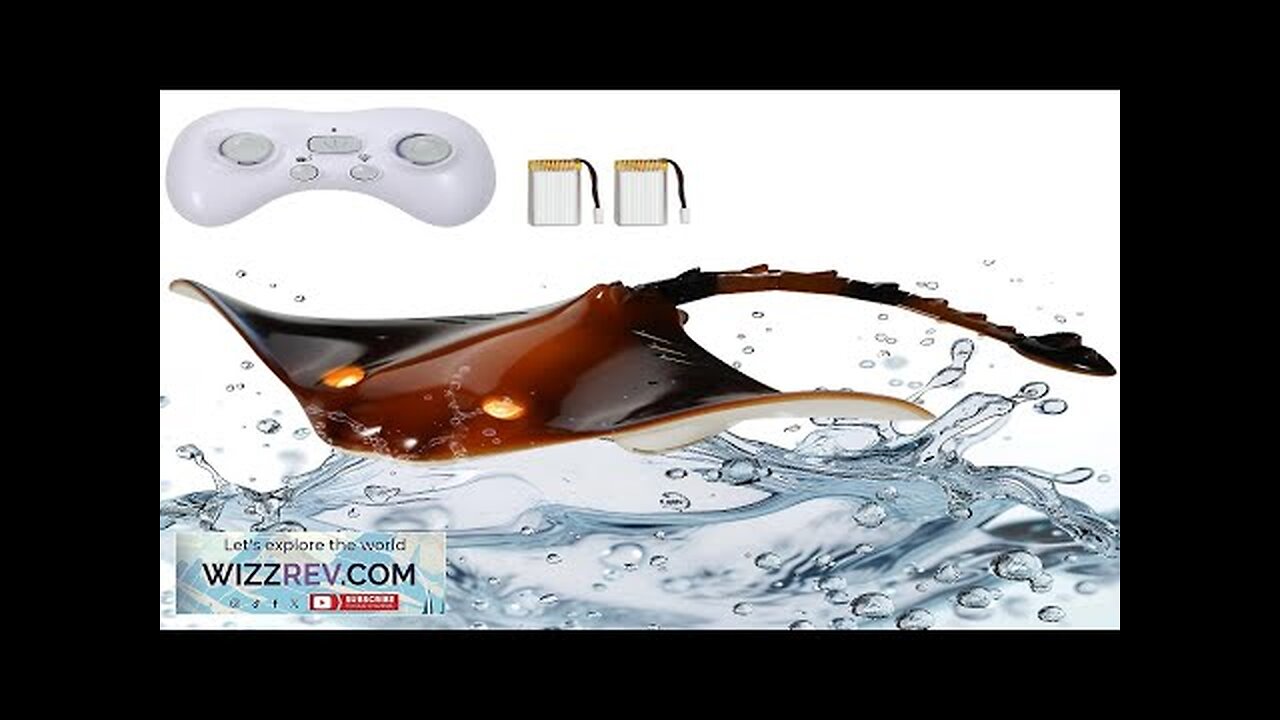 VEVOR Remote Control Manta Ray Toy 2.4 GHz High Speed RC Boat Review