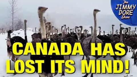 Canada DEMANDS Farmers Kill 400 Ostriches!