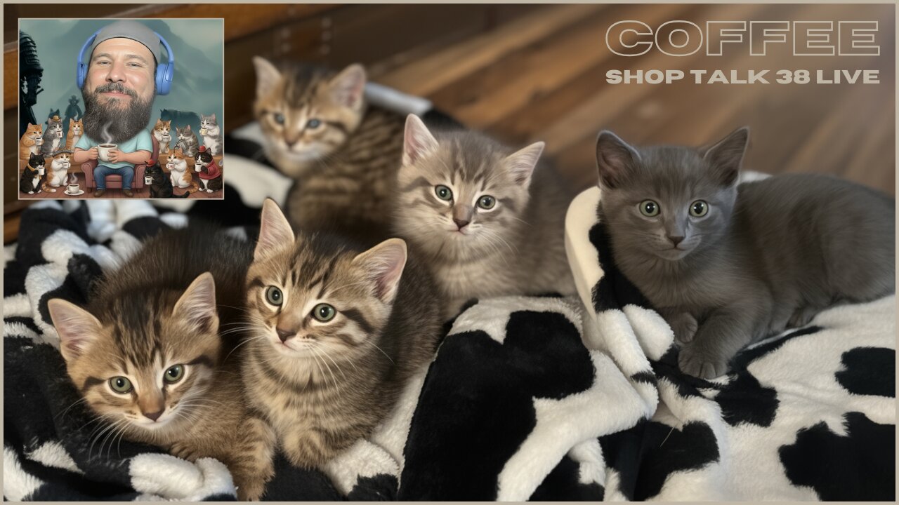 Coffee Shop Talk 38 LIVE | It's my Birthday, and I wanna talk about the new kittens over coffee!