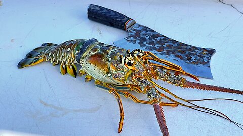 Catch n' Cook Huge Hawaiian Lobster!