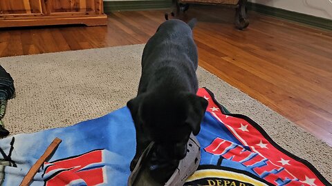 Porch Report Inside Edition 281025