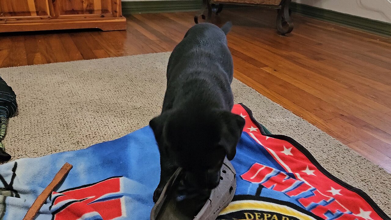 Porch Report Inside Edition 281025