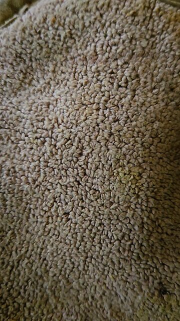 @IDEA@ : UI Only Glyph Stamper