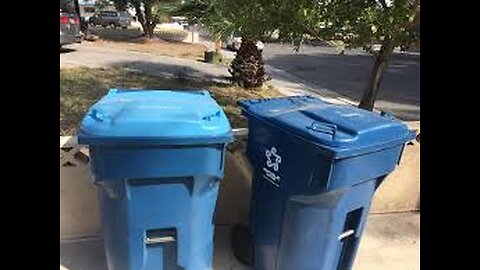 Palisades & Lahaina Fires - Watch For Untouched Blue Trash Cans