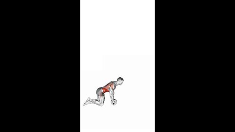 Ab Wheel Rollout Exercise.