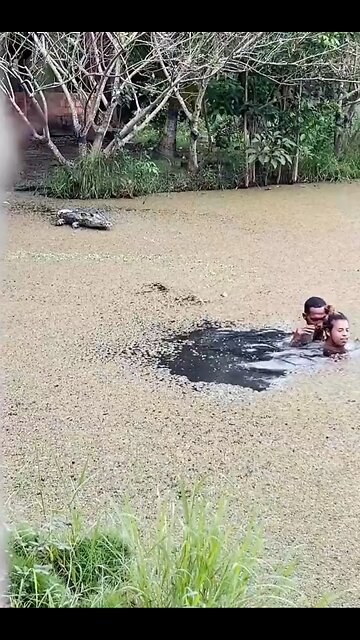 Funny try not to laugh 😆😂😂