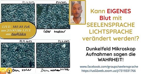 🙏🌟Kann EIGENES Blut mit SEELENSPRACHE - LICHTSPRACHE verändert werden!? ⁉️ Selbstheilung !?