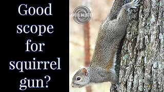 CVLIFE BearMight 1-8x24 LPVO Scope