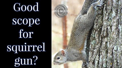 CVLIFE BearMight 1-8x24 LPVO Scope