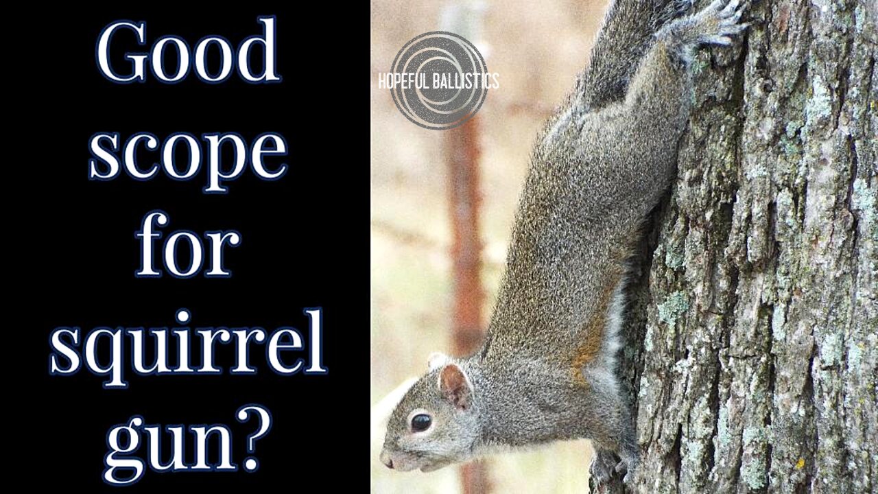 CVLIFE BearMight 1-8x24 LPVO Scope