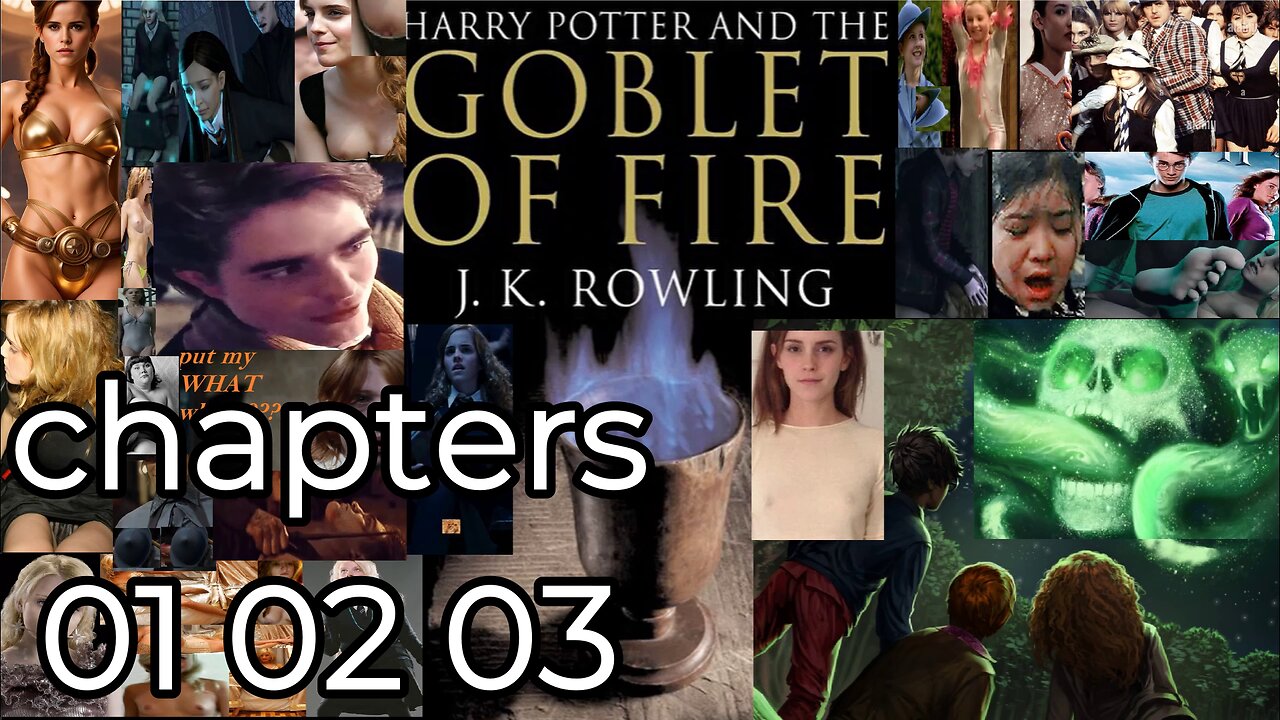 Harry Potter and the Goblet of Fire, chapters, 01 02 03,