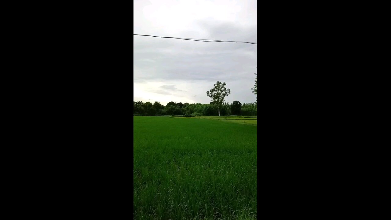 satisfying Video