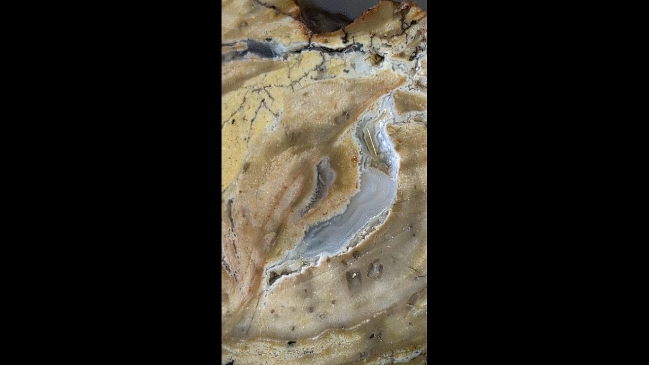 Thunderegg Inspection!