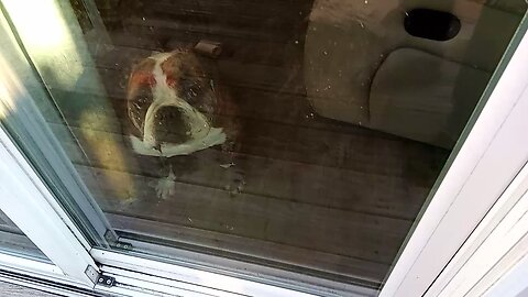 My bricks and my plans for my bricks!