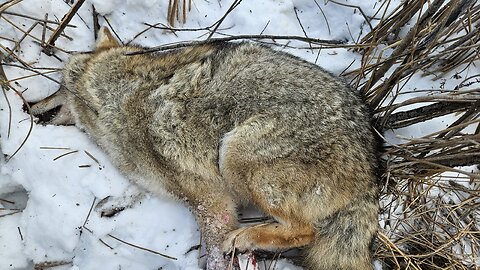 Merry Christmas! Dec. 25,2025