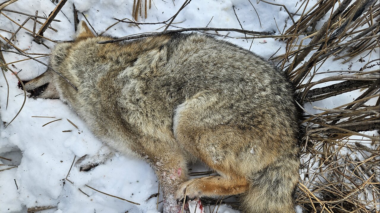 Merry Christmas! Dec. 25,2025