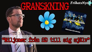 GRANSKNING: Flyttade Jimmie Åkesson miljoner från partikassan till sig själv?