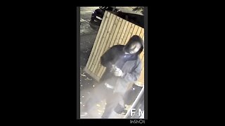 Video footage with the man that stabbed innocents in the train Doncaster to London