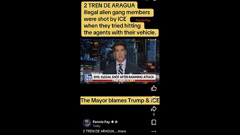 2 TREN DE ARAGUA illegal alien gang members were shot by ICE when they tried hitting the agent