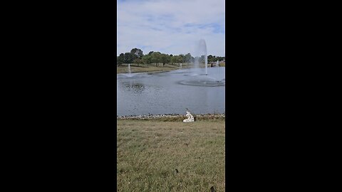 My Peaceful Place - Missing my Calling. Twice