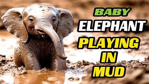 ELEPHANT PLAYING IN MUD #animal #shorts #viral