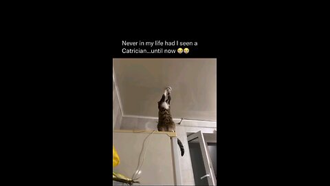 “When Life Gives You Funny Mood | Ultimate Meme Shorts” #FunnyMemes #MemeShorts #ViralVideo