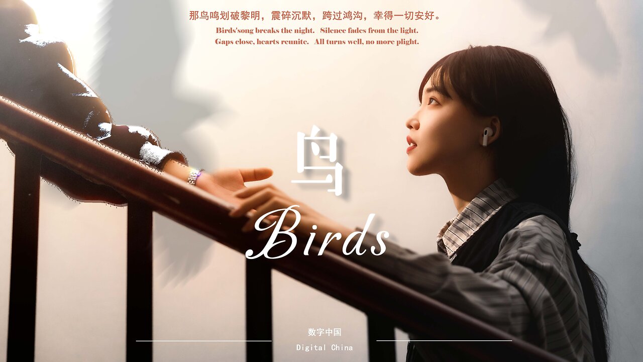 2024“外研社·国才杯”短视频大赛 鸟 Birds