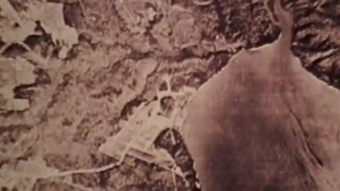 MAPMAKING PROCESS, THE - MAPMAKING PROCESS, THE - gov.dod.dimoc.29431
