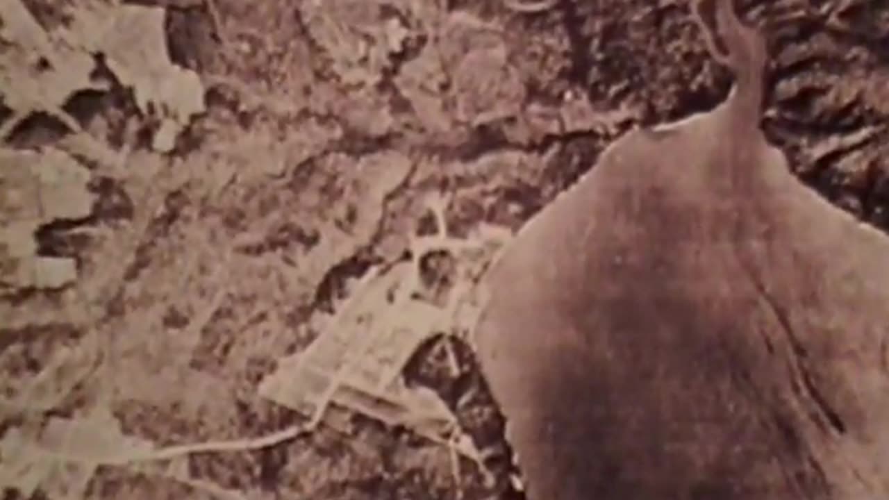 MAPMAKING PROCESS, THE - MAPMAKING PROCESS, THE - gov.dod.dimoc.29431