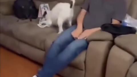 Dogo was part of the family, so he got a present also.