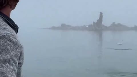 They want your soul...