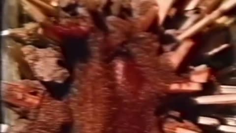 😨👻 You Won't Believe What They Caught on Camera! | TheHauntingHour