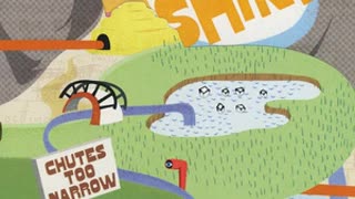 THE SHINS - Chutes Too Narrow