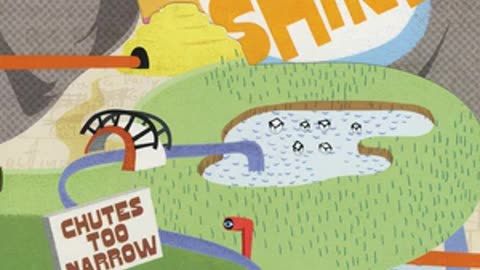 THE SHINS - Chutes Too Narrow