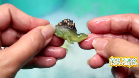 Four Dinosaur Eggs Hatched when Placed in the Hot Water
