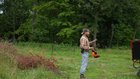 WoodMaxx action videos