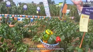 ✨ Celebrate Uganda’s agriculture: livestock, crops & crafts on display!