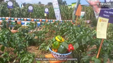 ✨ Celebrate Uganda’s agriculture: livestock, crops & crafts on display!