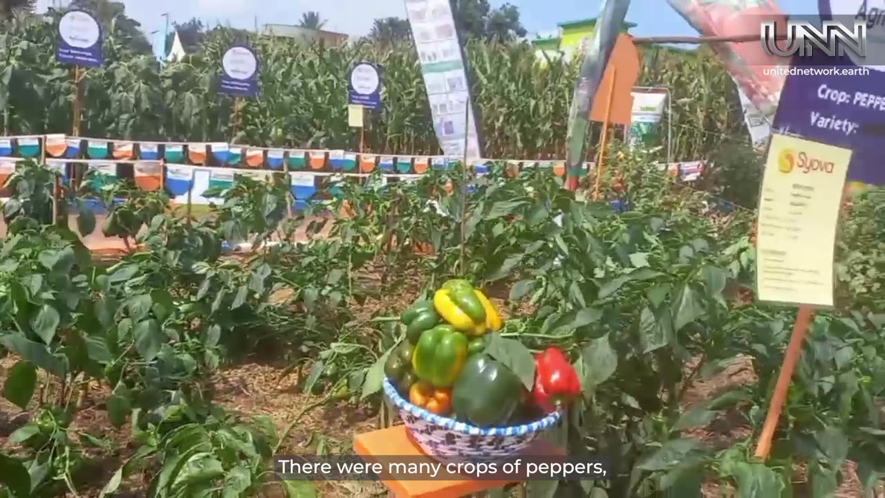 ✨ Celebrate Uganda’s agriculture: livestock, crops & crafts on display!