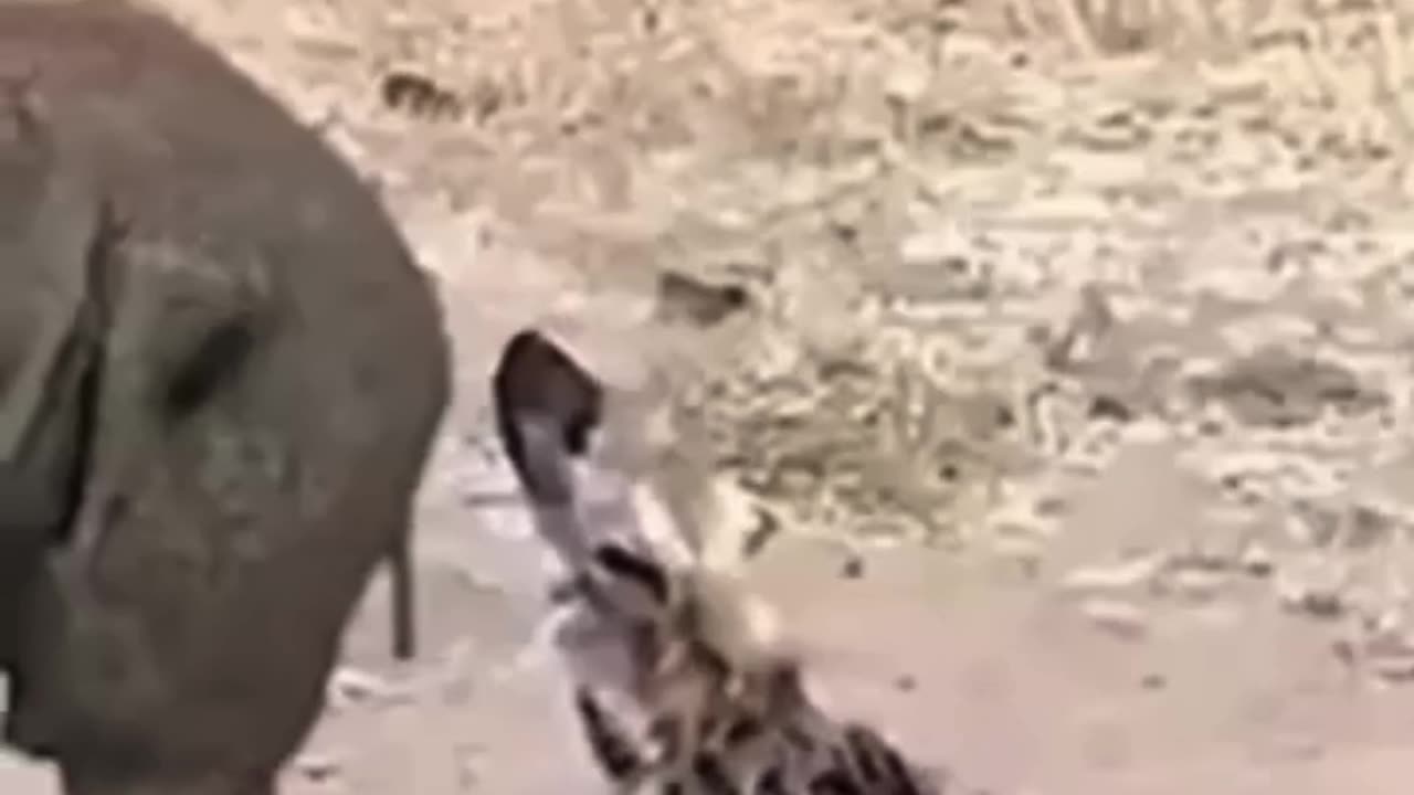 💋Never Thought it smelled so bad