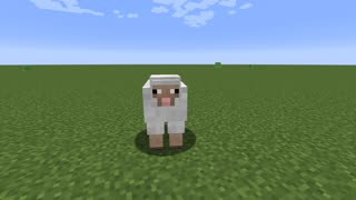 Sheep - Minecraft