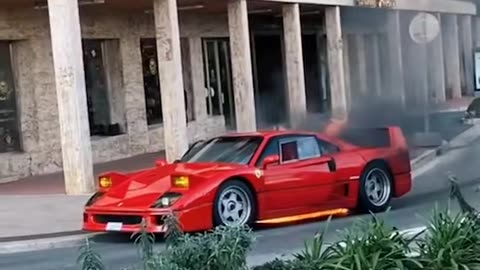 🏎️💎 Experience the ELEGANCE of Oman’s Luxury Cars! | LuxurySportsCars